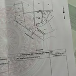 Bán đất nông nghiệp mặt tiền Phan Đăng Lưu Ninh Thuận 1.900m² - Ảnh thu nhỏ 4
