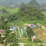Bán đất nông nghiệp 2000 m² Thanh Oai Hà Nội - Ảnh thu nhỏ 2