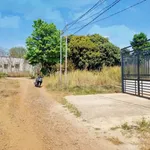Bán đất Trảng Bom 240m² sổ riêng 880 triệu - Ảnh thu nhỏ 3