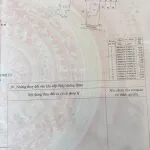Bán đất biệt thự 1116m² giá chỉ 7,8 triệu/m² sẵn nhà ở ngay tại Xuân Yên - Ảnh thu nhỏ 10