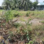 Bán đất vườn 2500 m² Lương Hòa, Bến Lức, Long An - Ảnh thu nhỏ 5
