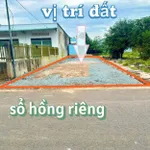 Bán đất 200m2 Đ. Suối Sâu, An Tịnh Trảng Bàng, Giá 700 triệu, SHR, mặt tiền 5m, Gần KCN Trảng Bàng. - Ảnh thu nhỏ 4