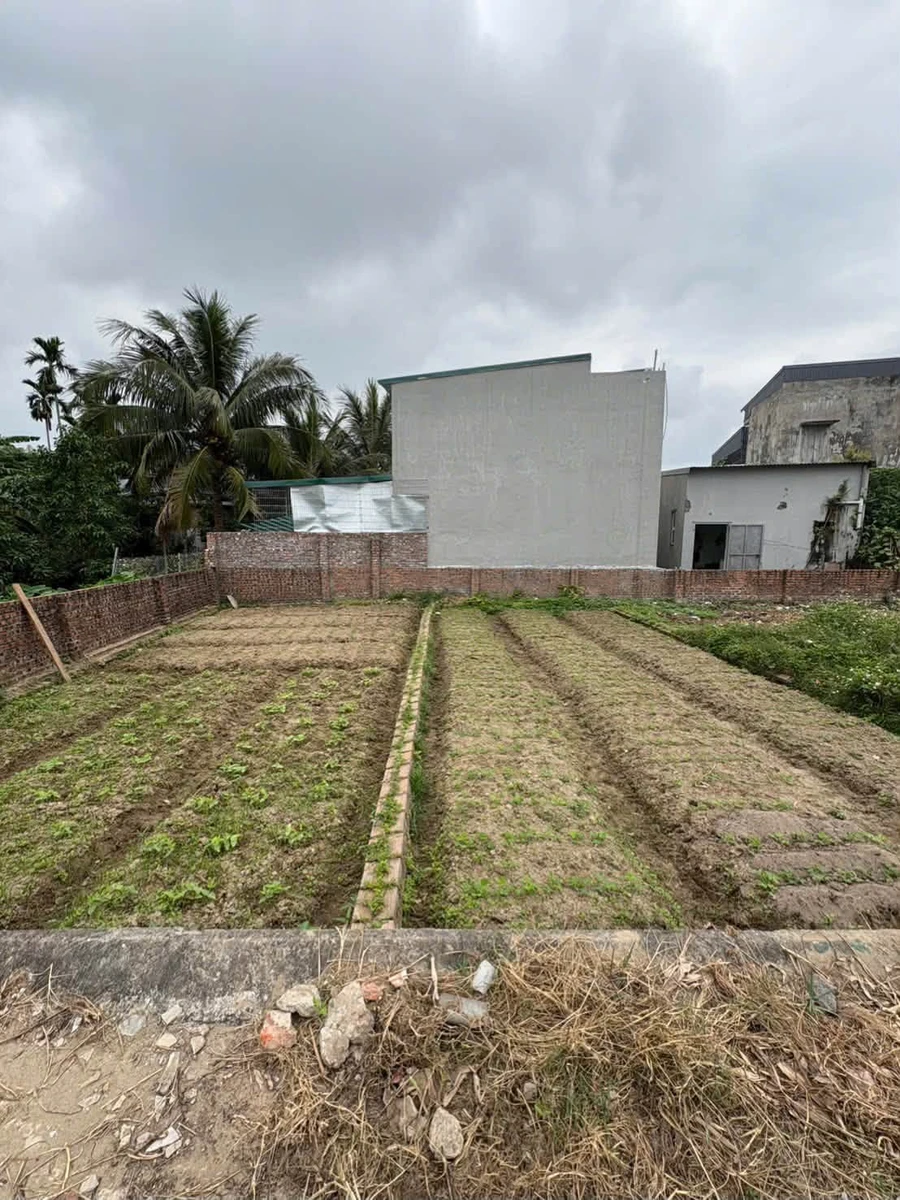 Bán đất thôn Đìa 60m2, gần TT Lai Cách, 800 triệu - Ảnh thu nhỏ 2