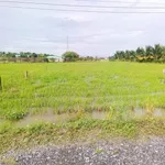 Bán đất 1.000m2 thổ cư tại Lạc Tấn, Tân Trụ, Long An - Ảnh thu nhỏ 4