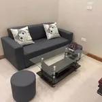 Cho thuê căn hộ 1PN tại Handico Hưng Dũng, 40m², 5 triệu/tháng - Ảnh thu nhỏ 1