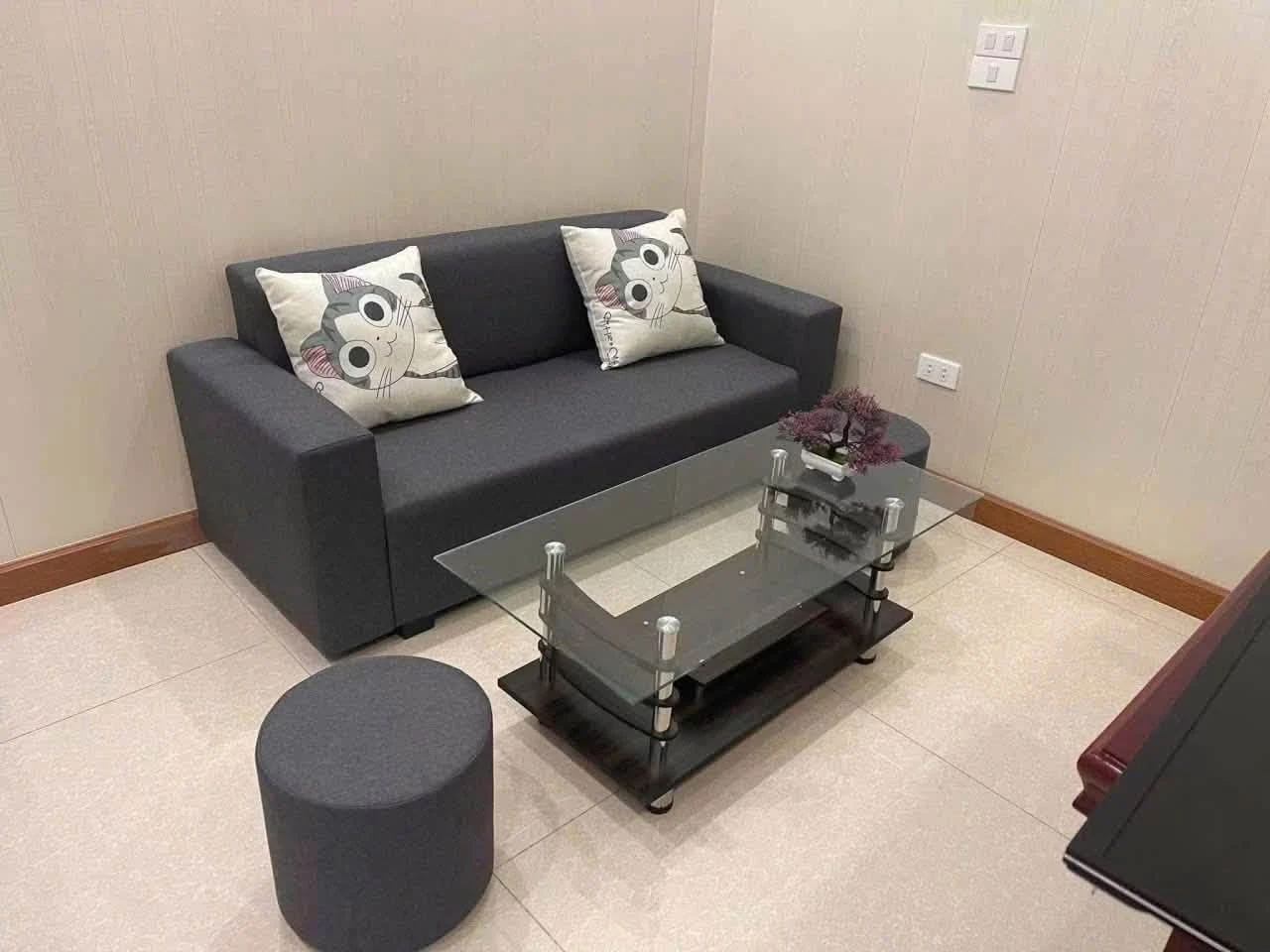 Cho thuê căn hộ 1PN tại Handico Hưng Dũng, 40m², 5 triệu/tháng - Ảnh 1