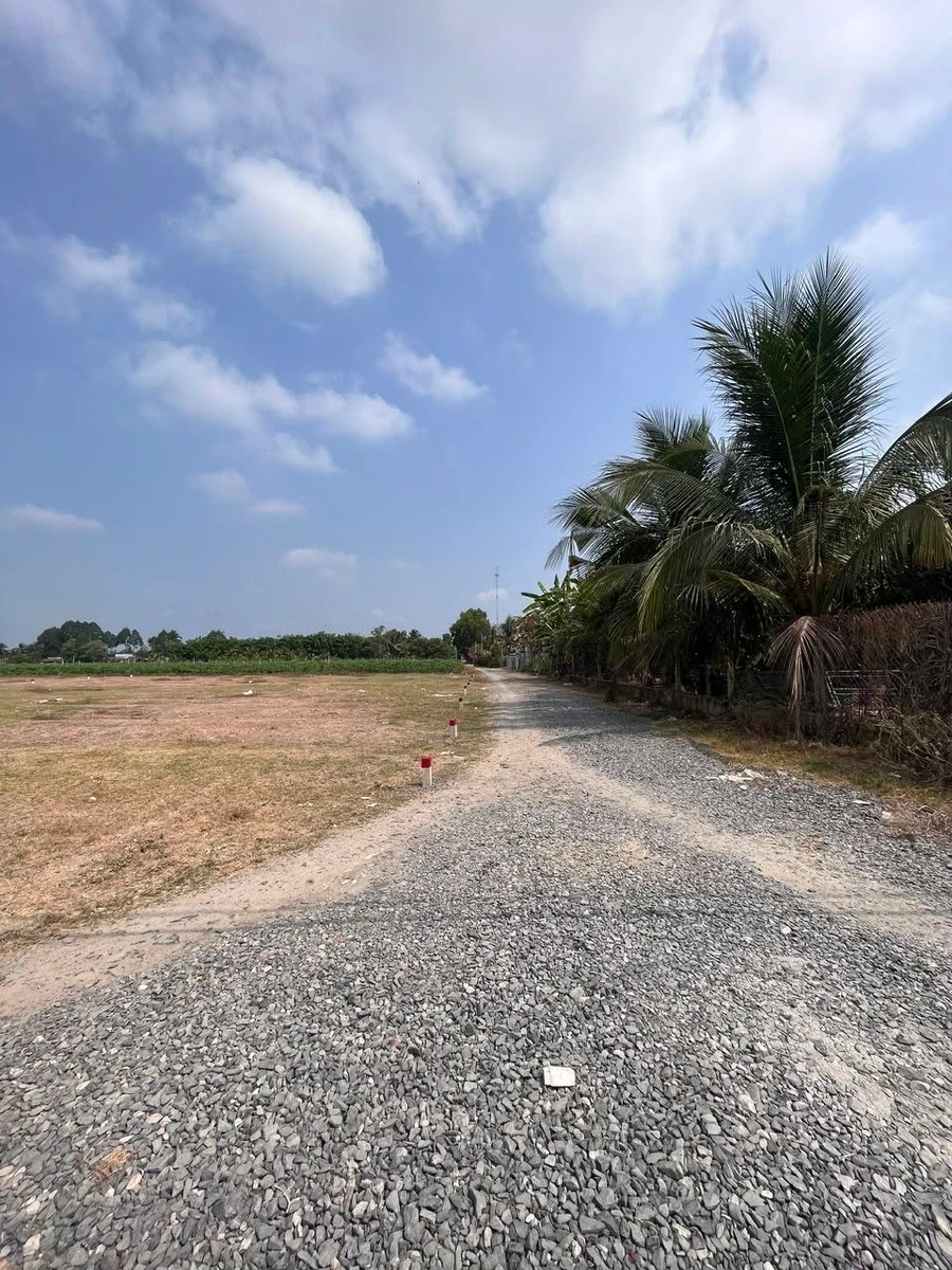 Bán đất An Thái 1.200m2 giá 460 triệu - Ảnh 1