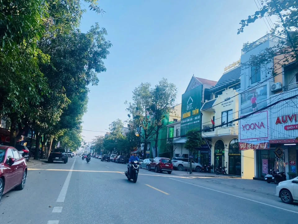 Đất bán 72.5m2 Phường Vinh Phú, Bình Dương - Ảnh thu nhỏ 2