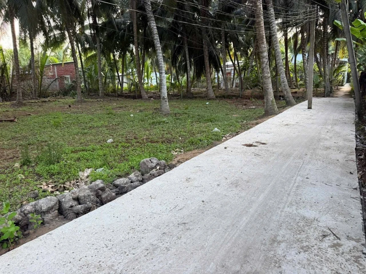 Bán đất vườn dừa 512m² mặt tiền ô tô tại Hòa Lộc - Ảnh 1