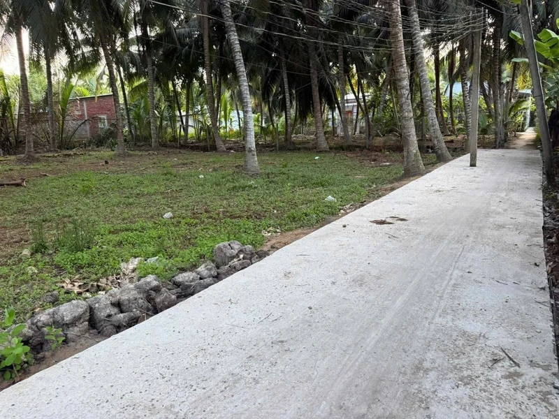 Bán đất vườn dừa 512m² mặt tiền ô tô tại Hòa Lộc
