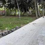 Bán đất vườn dừa 512m² mặt tiền ô tô tại Hòa Lộc - Ảnh thu nhỏ 1