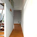 Bán nhà mặt tiền 312m² Đắk Lắk 2 tỷ 8 - Ảnh thu nhỏ 4