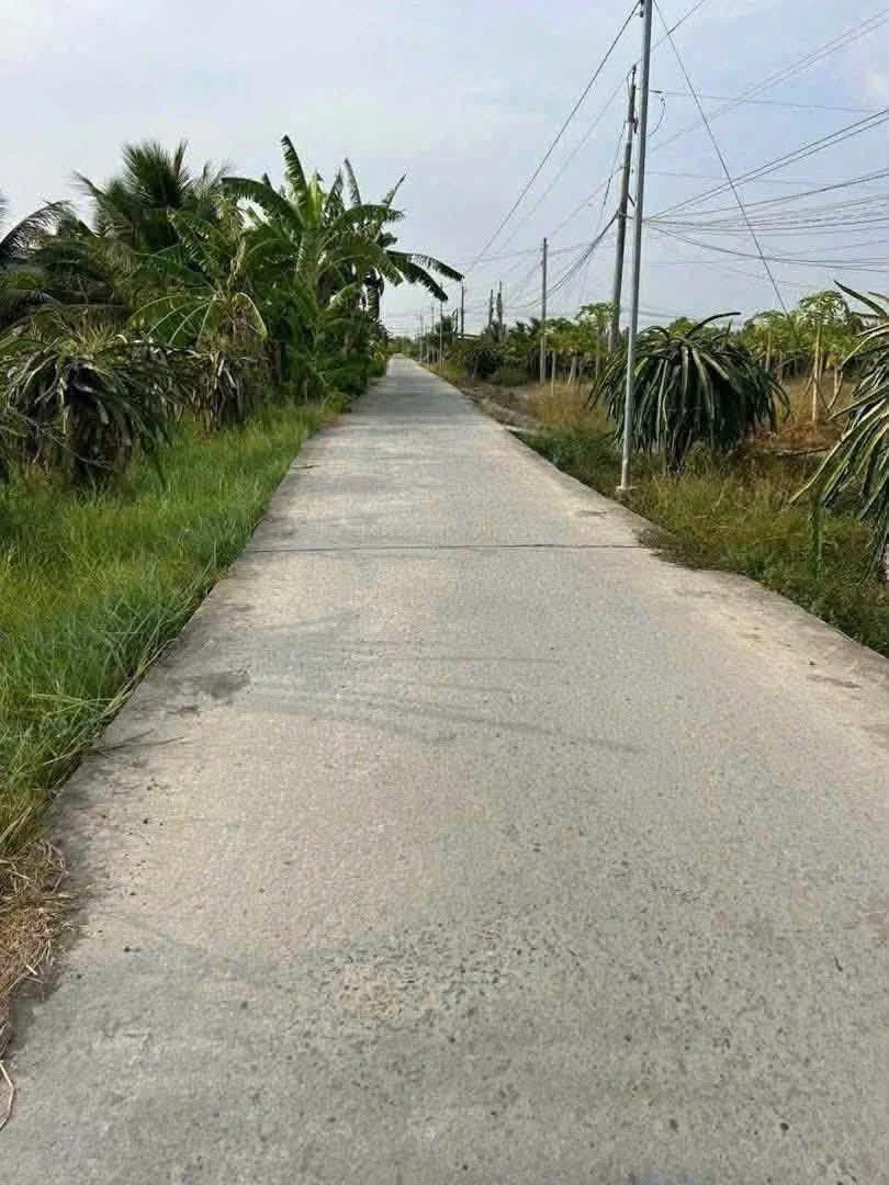 Bán đất thổ cư 7,5x28m đường 3,5m giá 579 triệu tại xã Tầm Vu, Tây Ninh - Ảnh thu nhỏ 2
