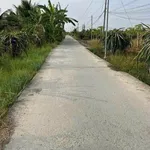 Bán đất thổ cư 7,5x28m đường 3,5m giá 579 triệu tại xã Tầm Vu, Tây Ninh - Ảnh thu nhỏ 2