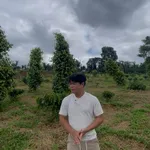 Bán lô đất nông nghiệp 9,2 sào tại Đắk Lắk - Ảnh thu nhỏ 1