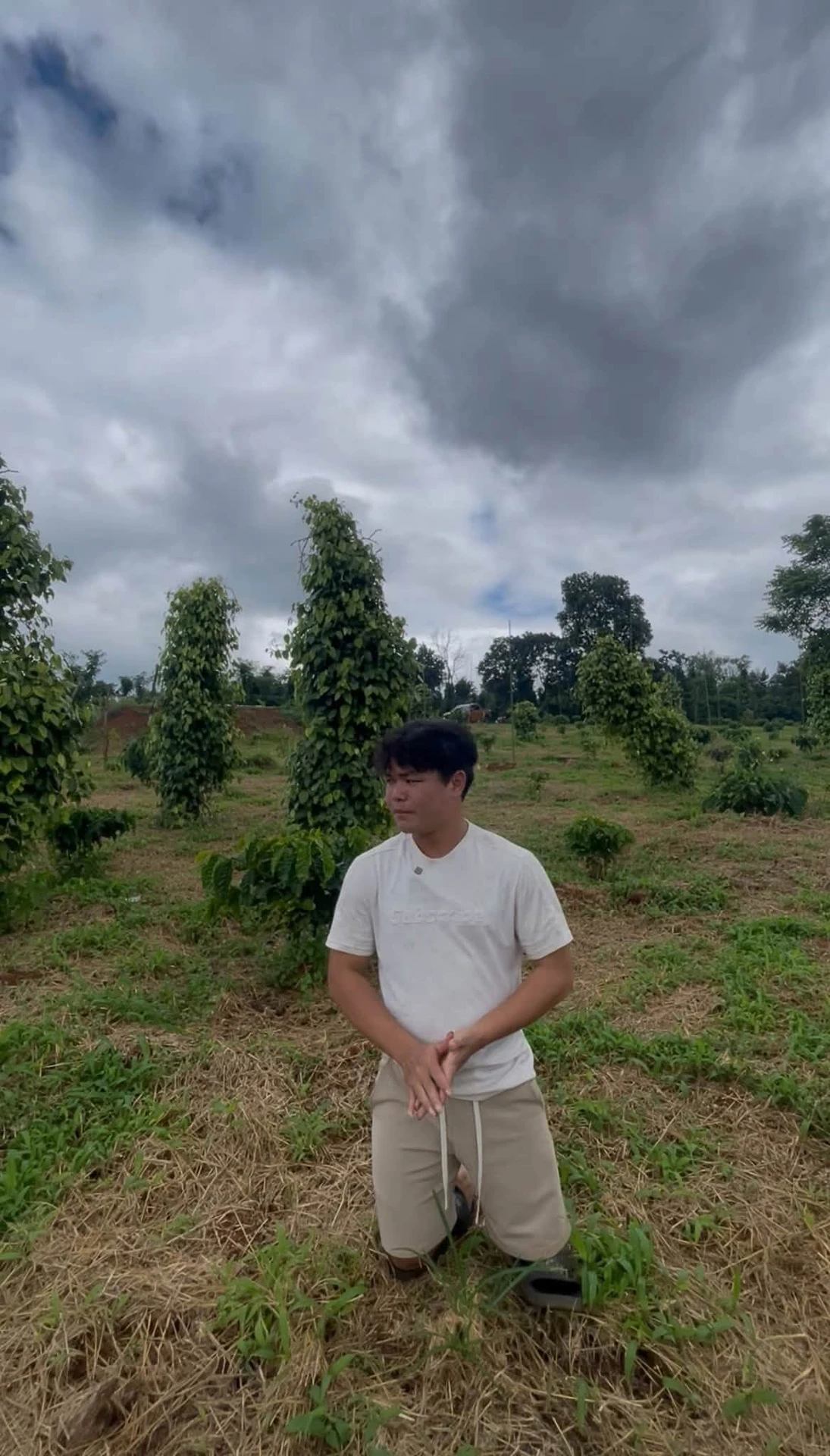 Bán lô đất nông nghiệp 9,2 sào tại Đắk Lắk - Ảnh 1