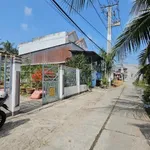 Nhà vườn 360m² với ao cá, vườn cây tại Cà Mau - Ảnh thu nhỏ 4