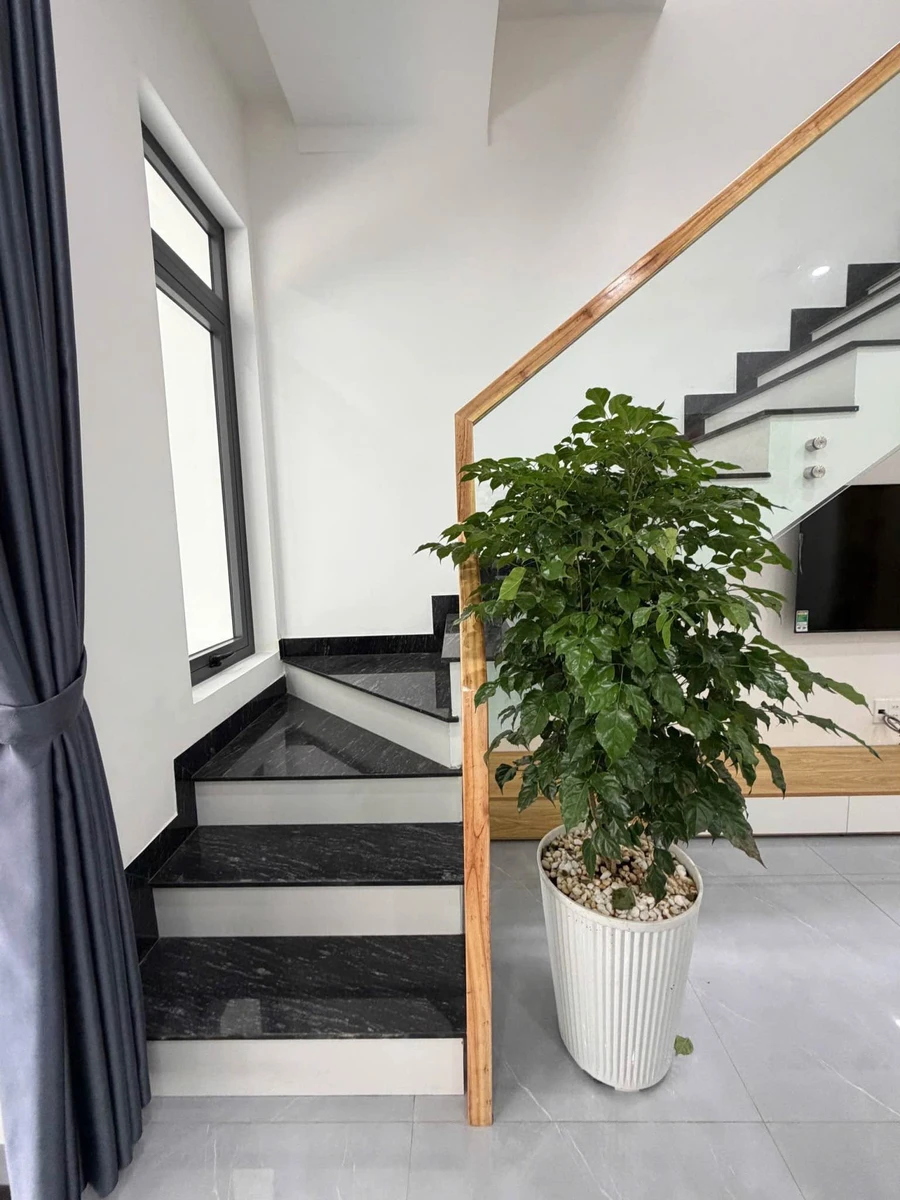 Bán nhà hẻm 2PN 3,99 tỷ Y Moan Tân Phú - Ảnh thu nhỏ 4