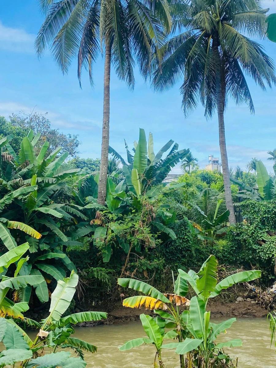Bán lô đất view suối 700m2, thổ cư 300m2, hẻm Võ Văn Kiệt, Khánh Xuân, Buôn Ma Thuột - Ảnh thu nhỏ 4