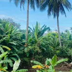 Bán lô đất view suối 700m2, thổ cư 300m2, hẻm Võ Văn Kiệt, Khánh Xuân, Buôn Ma Thuột - Ảnh thu nhỏ 4