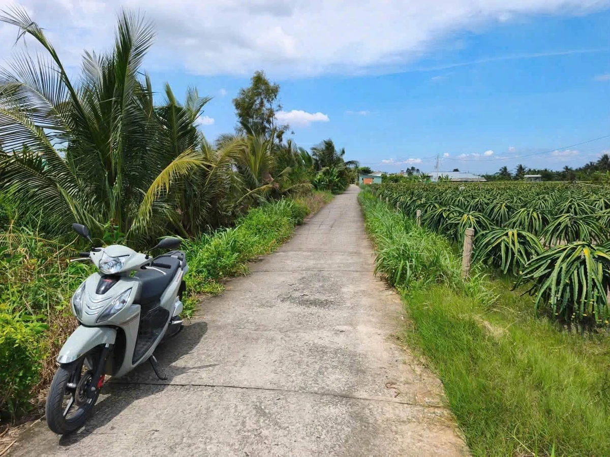 Bán đất 1.240m² (200m² thổ) tại Hiệp Thạnh, Châu Thành, Long An - Ảnh 1