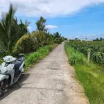 Bán đất 1.240m² (200m² thổ) tại Hiệp Thạnh, Châu Thành, Long An - Ảnh thu nhỏ 1