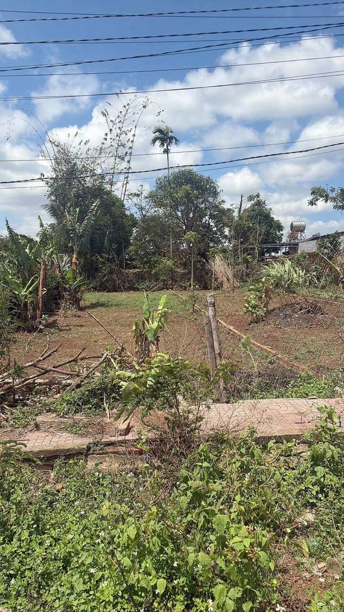 Bán đất Buôn Hồ, Đắk Nông 162m², 1,5 tỷ - Ảnh thu nhỏ 4