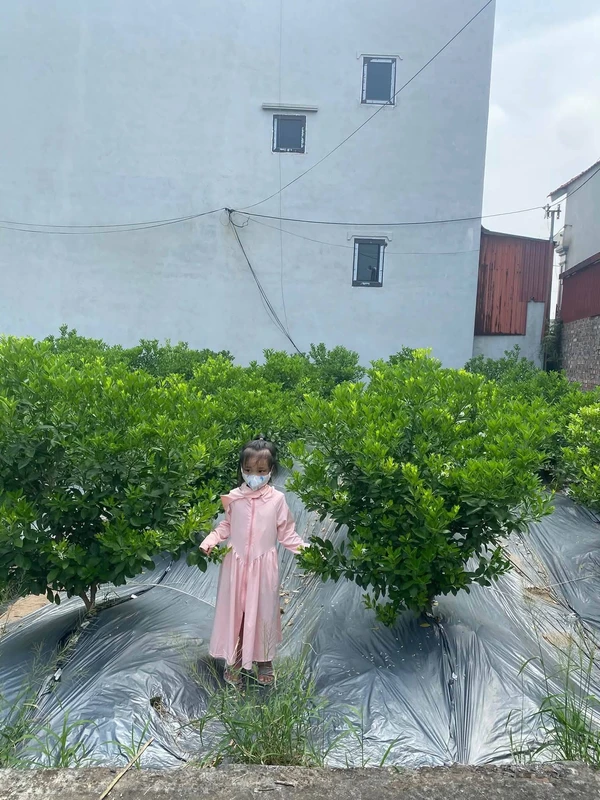 Bán đất 70m² Đông Tảo Hưng Yên 1,7 tỷ