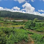 Bán đất vườn An Sơn Đà Lạt 13.000m² giá 11,3 tỷ - Ảnh thu nhỏ 3