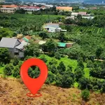 Bán đất Nam Ban Lâm Hà 1.000m² sổ hồng 1,45 tỷ - Ảnh thu nhỏ 2