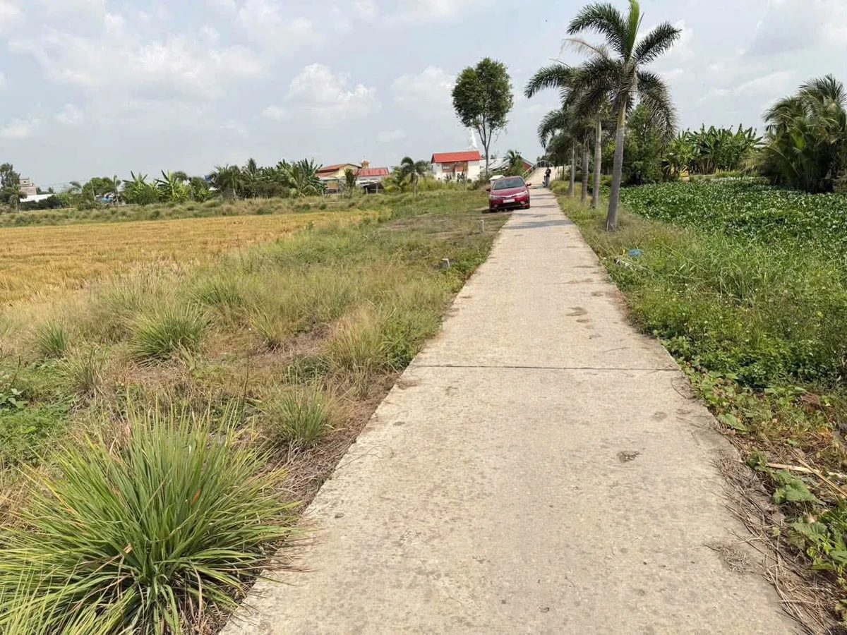 Bán 3 nền đất 625m2 Kênh Phán Xuyên Rạch Giá - Ảnh thu nhỏ 4