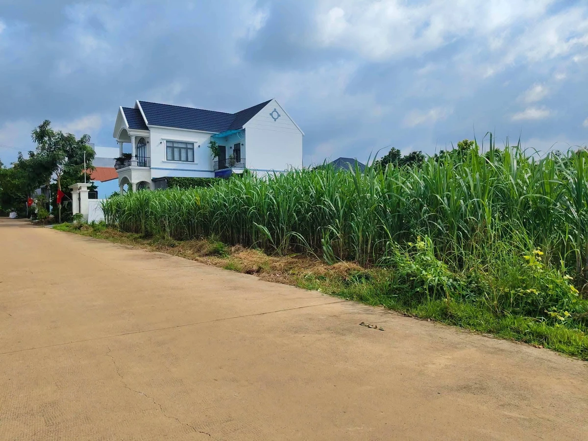 Bán đất Phường Tân Bình 100m2 - Ảnh thu nhỏ 3