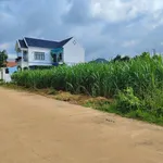 Bán đất Phường Tân Bình 100m2 - Ảnh thu nhỏ 3