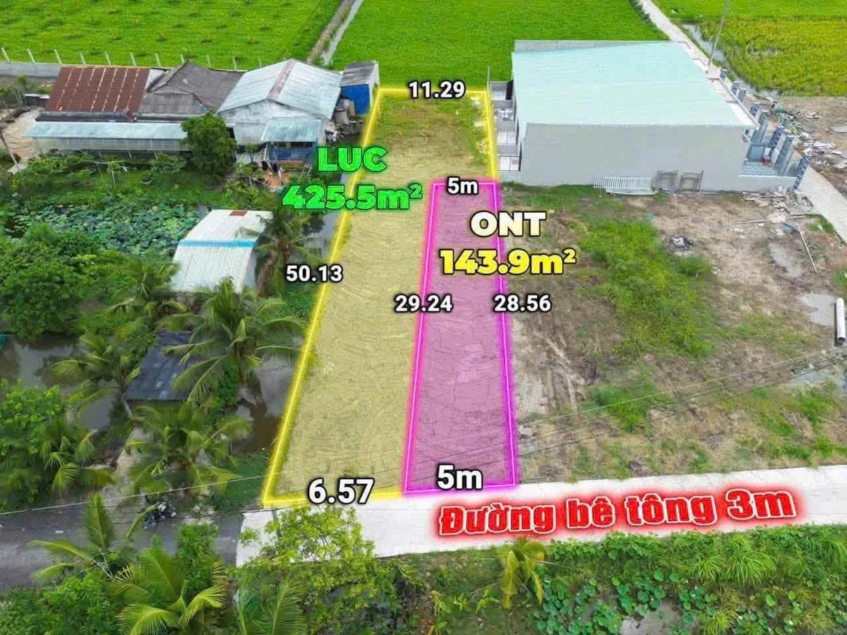 Bán đất 572m2 có 150m2 thổ cư, giá 1 tỷ 299 triệu tại Nhựt Chánh, Bến Lức, Long An - Ảnh thu nhỏ 2