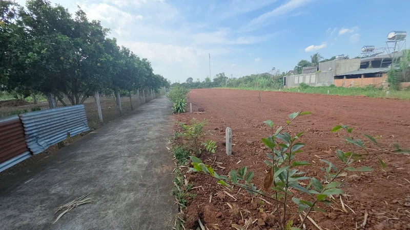 Bán 95,9m² đất nền tại Xã Xuân Đông, Đồng Nai, 360 triệu