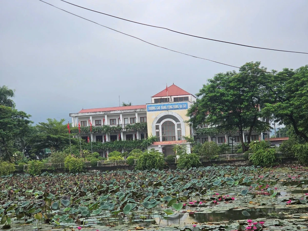 Bán đất 298m2 mặt tiền 8m Nhuận Trạch Hòa Bình - Ảnh thu nhỏ 3