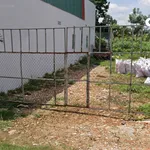 Bán đất 150m² đường D1 gần QL26, Tân An - Ảnh thu nhỏ 2