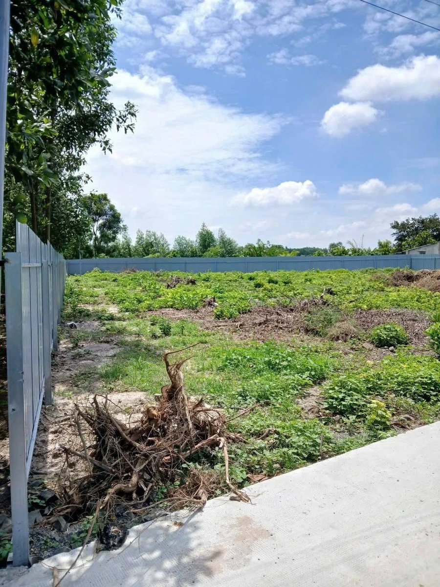 Bán đất 900m2 giá 2 tỷ 300 triệu Tân Triều Đồng Nai - Ảnh thu nhỏ 2