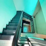 Cho thuê nhà mặt tiền Thống Nhất, Tân Phú, 67,5m², 25 triệu/tháng - Ảnh thu nhỏ 3