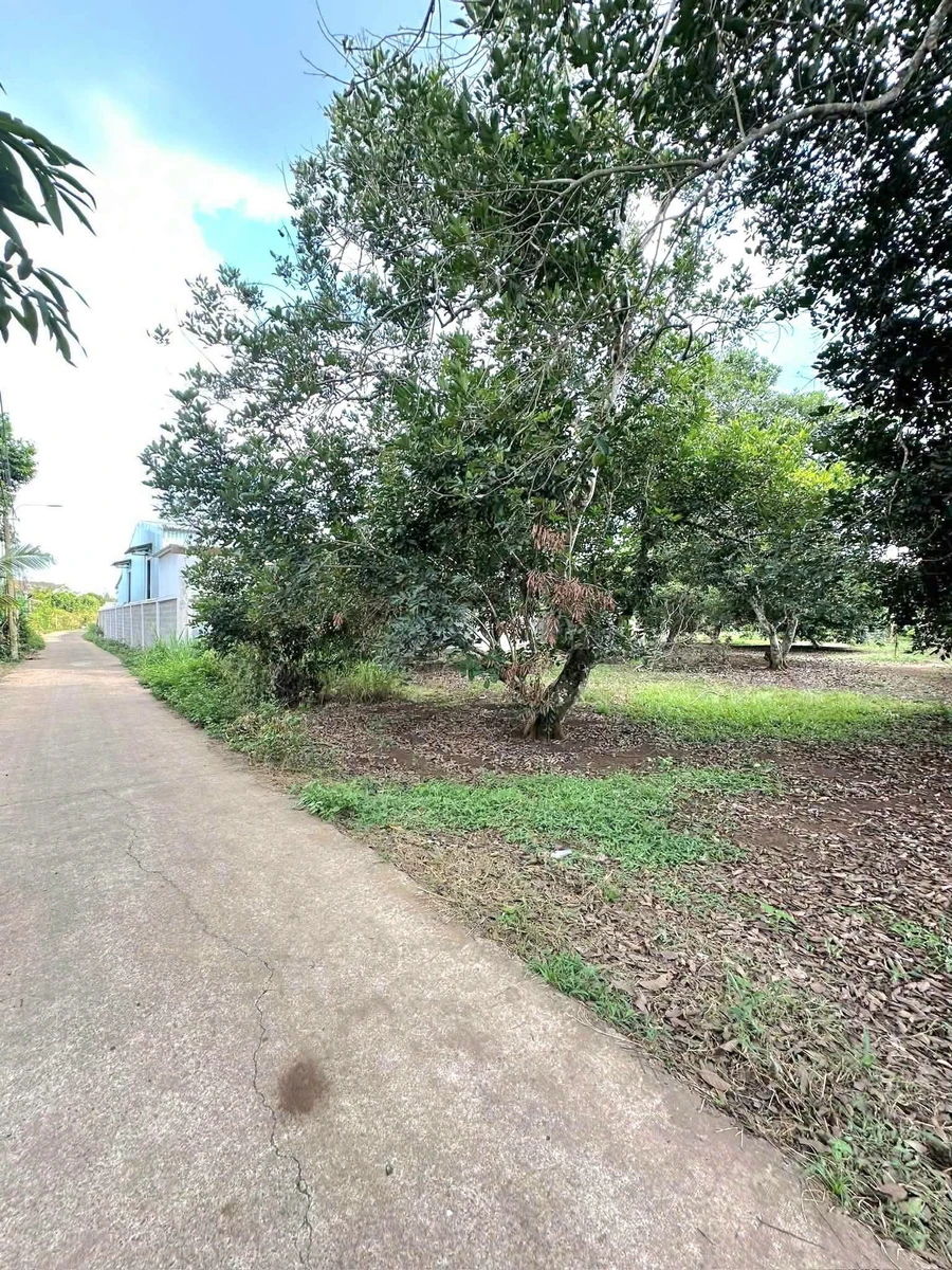 Bán đất vườn 100m² tại Phường Bảo Vinh, giá 1 tỷ 6 - Ảnh thu nhỏ 2
