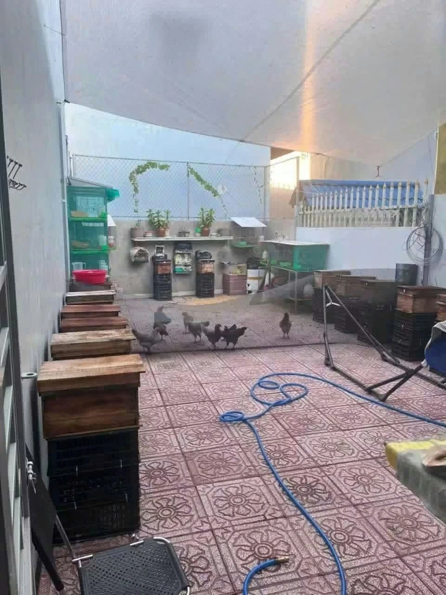 Bán nền đất 129m² có nhà cấp 4 ở Mỹ Lộc, Long An - Ảnh thu nhỏ 2