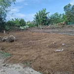 Bán đất mặt bằng 301.6m² sổ sẵn Tuy Phước Bắc 1 tỷ 290 triệu - Ảnh thu nhỏ 1