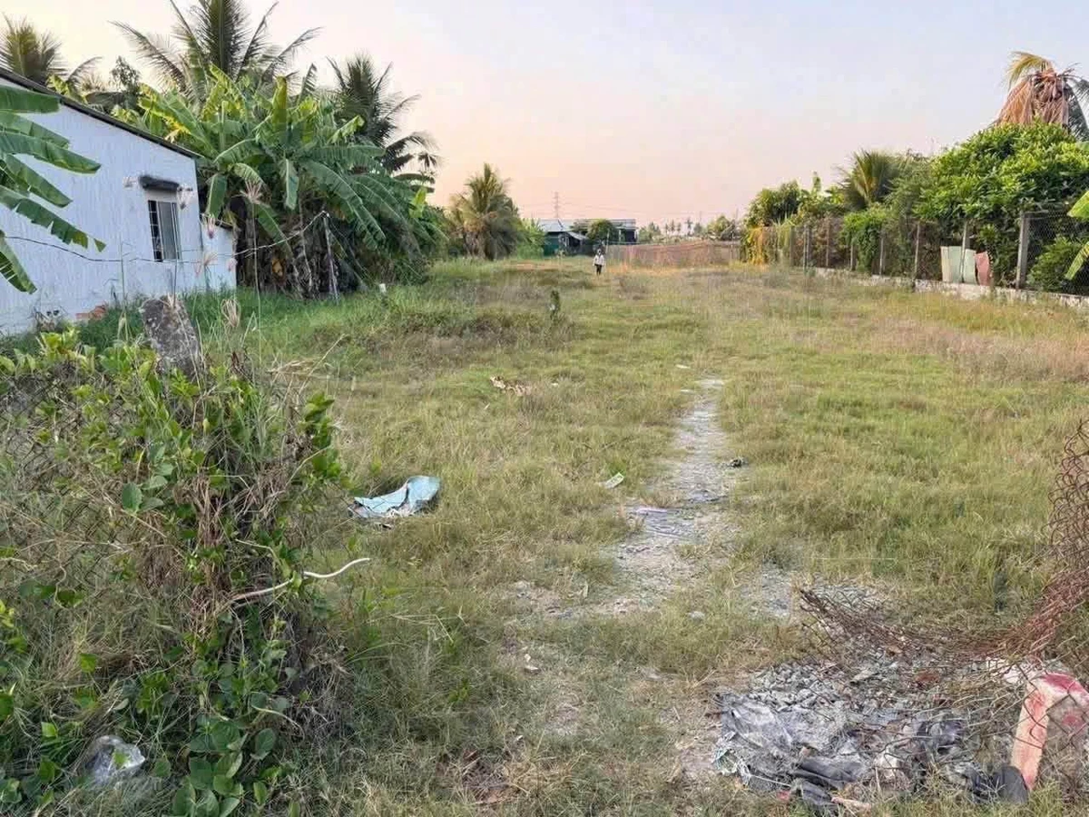Bán 1100m² đất lúa + 150m² thổ cư Châu Thành Long An - Ảnh thu nhỏ 3