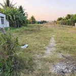 Bán 1100m² đất lúa + 150m² thổ cư Châu Thành Long An - Ảnh thu nhỏ 3