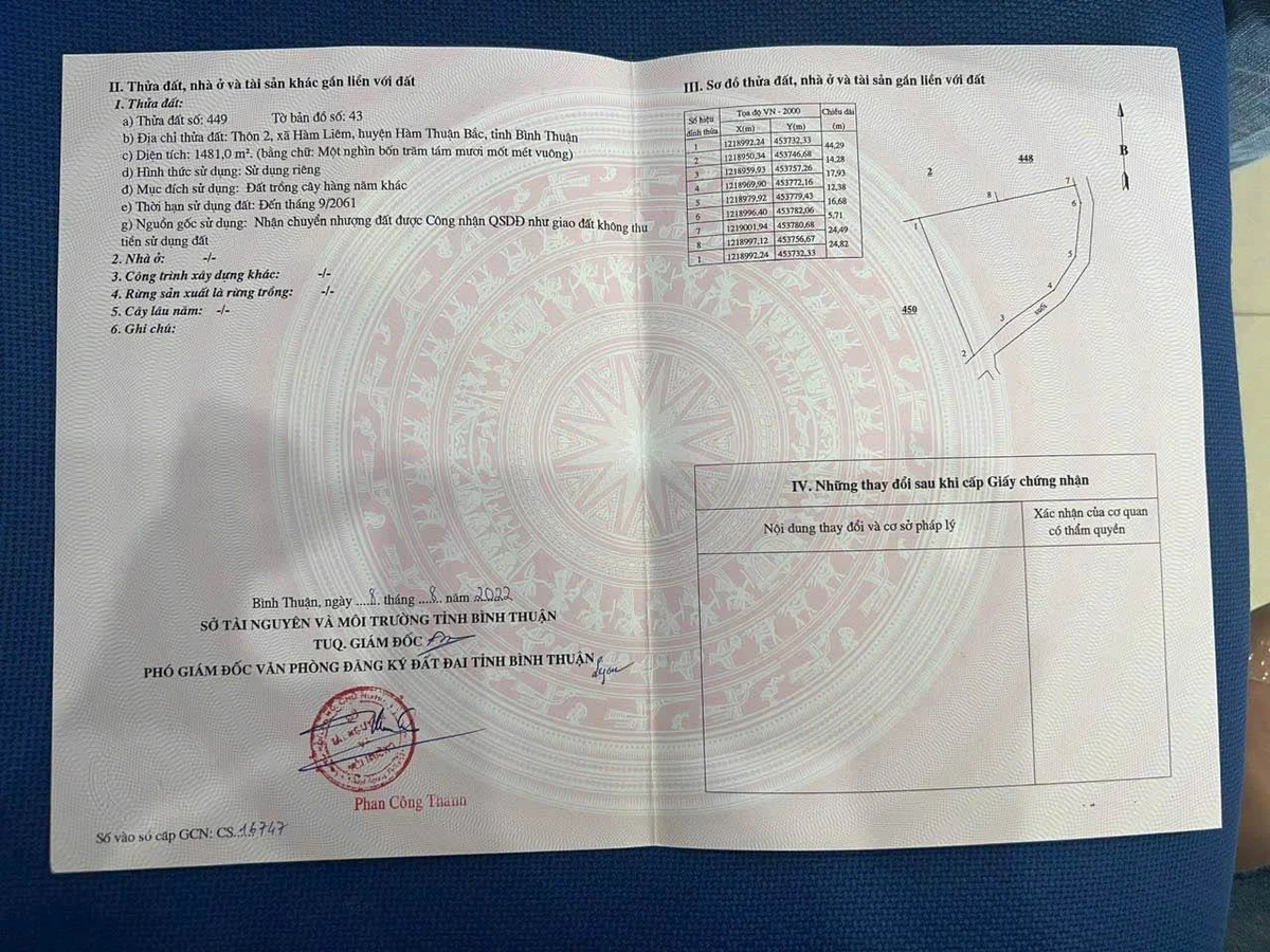 Bán lô đất cây trồng 1.481m2 Hàm Liêm Lâm Đồng - Ảnh thu nhỏ 2