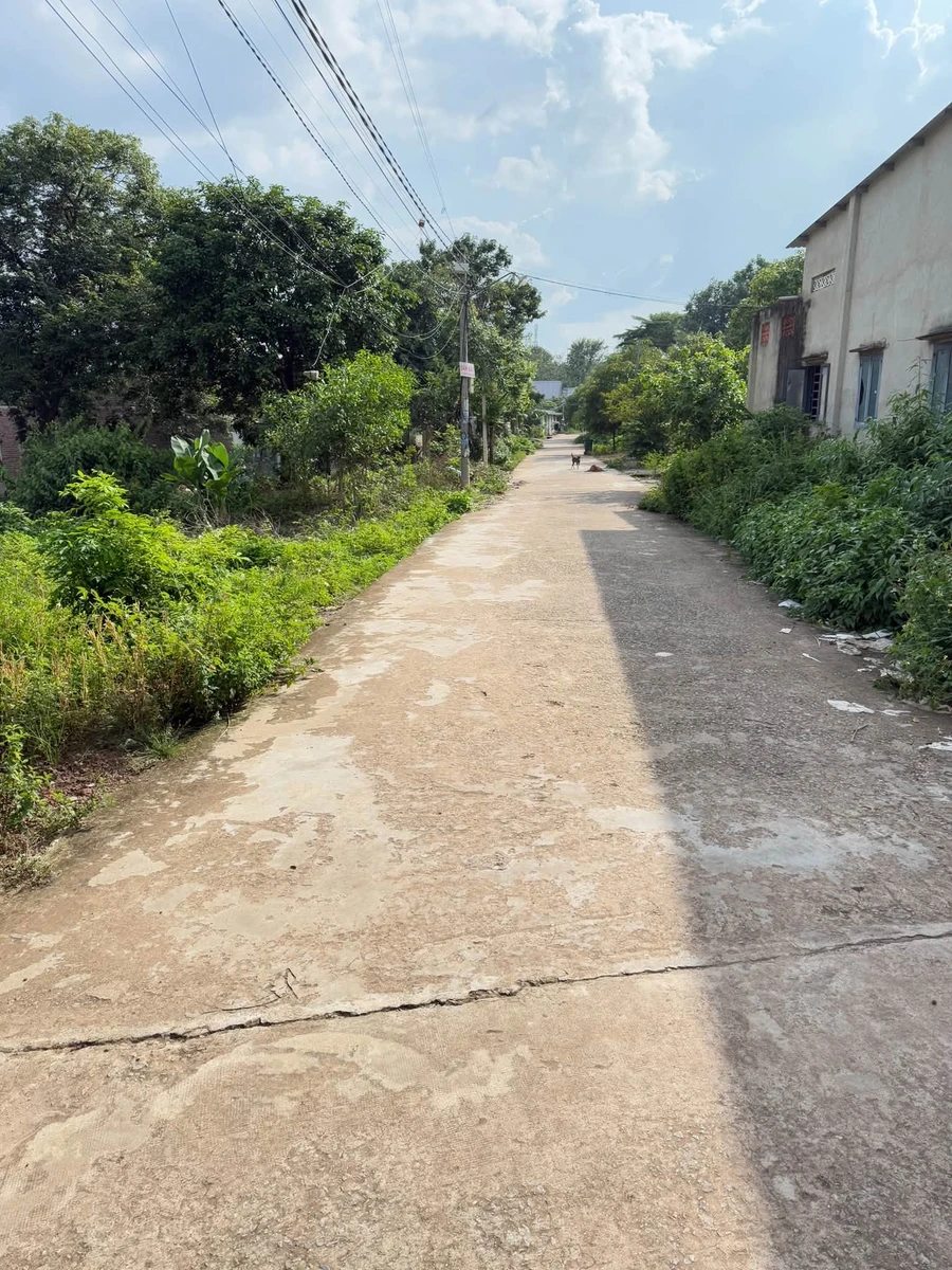 Bán đất 500m² Nha Bích, Nhà Bè, 400 triệu - Ảnh thu nhỏ 2