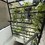 Bán nhà 3 tầng 2PN 61m² sân thượng Quận 5 - Ảnh thu nhỏ 1