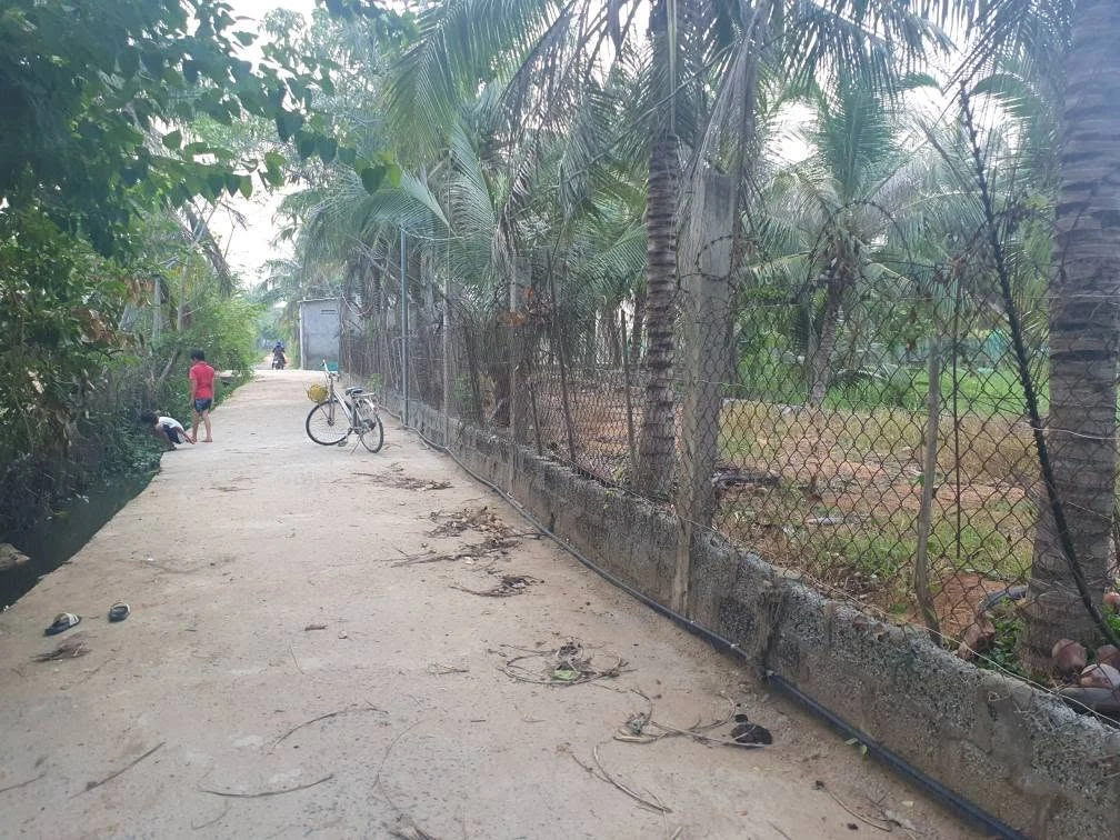 Bán đất 360m² Văn Hải, Bình Tân, 560 triệu - Ảnh thu nhỏ 2
