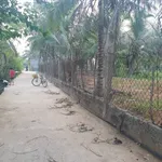 Bán đất 360m² Văn Hải, Bình Tân, 560 triệu - Ảnh thu nhỏ 2