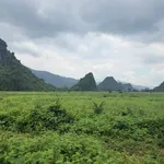 Bán đất vườn 911m2 Lương Sơn, Hòa Bình 7 tỷ - Ảnh thu nhỏ 5